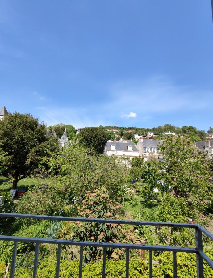 Gite La P'Tite Terrasse Chinon Centre Dış mekan fotoğraf